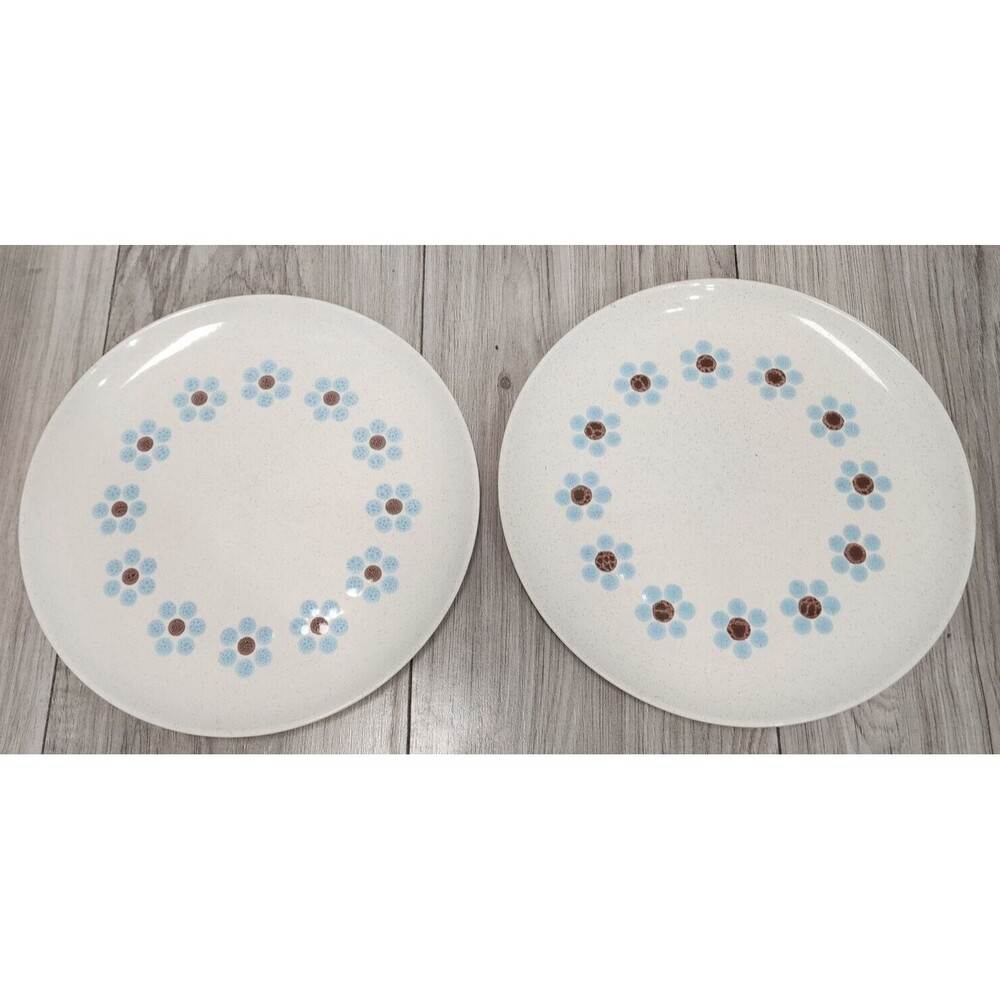 Taylor and Smith Scandia Arctic Night Dinner Plate Set of 2